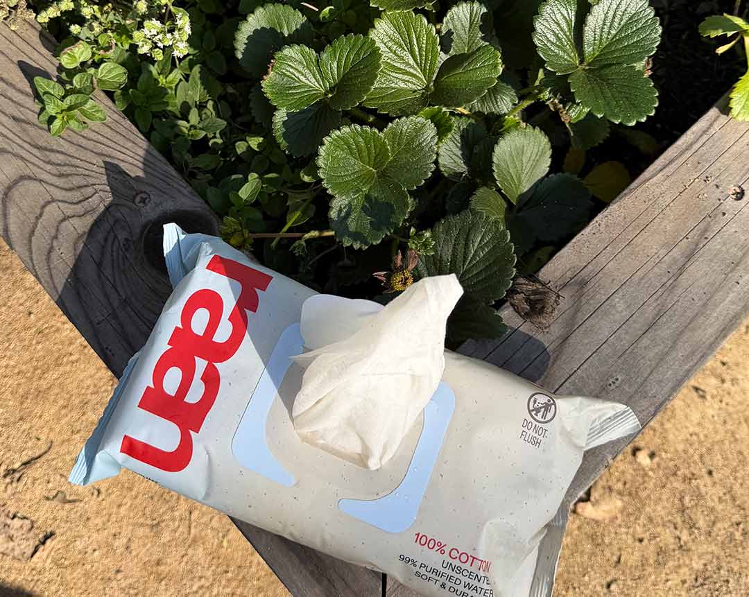 PLASTIC-FREE + TREE-FREE